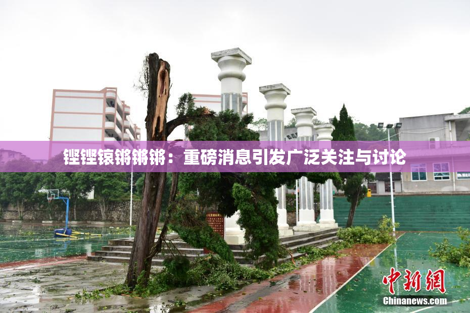 铿铿锿锵锵锵：重磅消息引发广泛关注与讨论