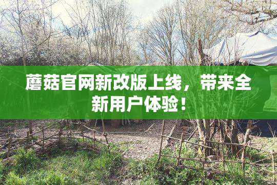 蘑菇官网新改版上线，带来全新用户体验！