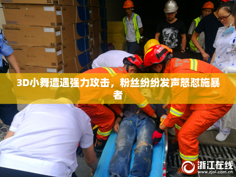 3D小舞遭遇强力攻击，粉丝纷纷发声怒怼施暴者