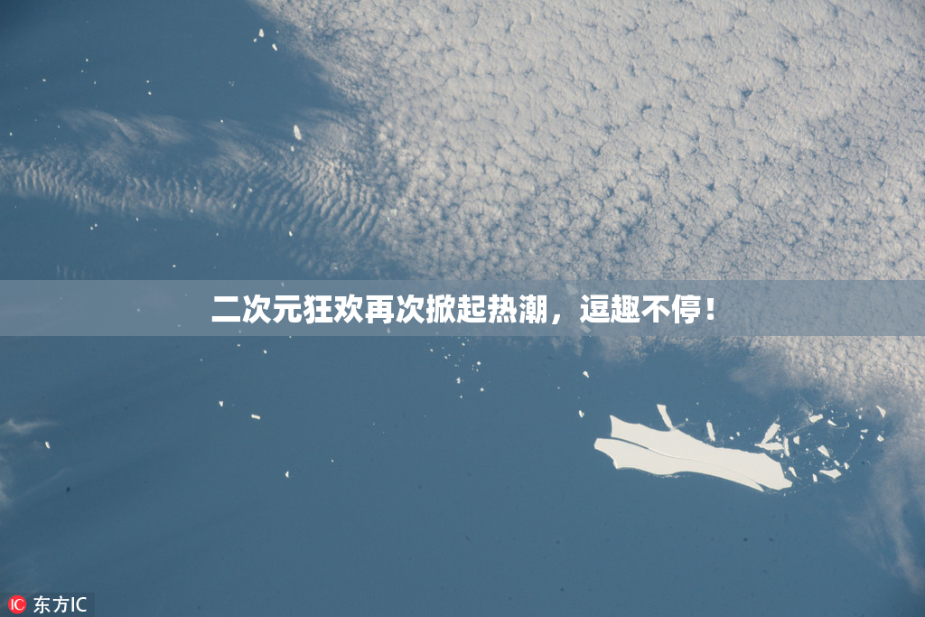 二次元狂欢再次掀起热潮，逗趣不停！