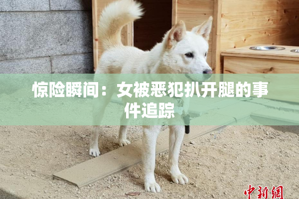 惊险瞬间：女被恶犯扒开腿的事件追踪