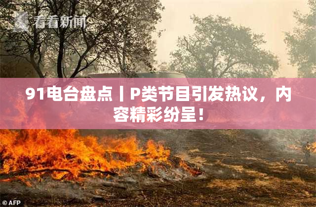91电台盘点丨P类节目引发热议，内容精彩纷呈！