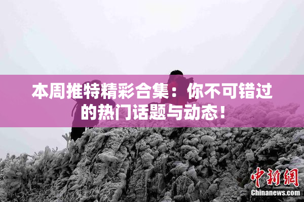本周推特精彩合集：你不可错过的热门话题与动态！