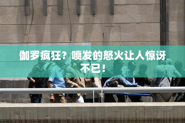 伽罗疯狂？喷发的怒火让人惊讶不已！