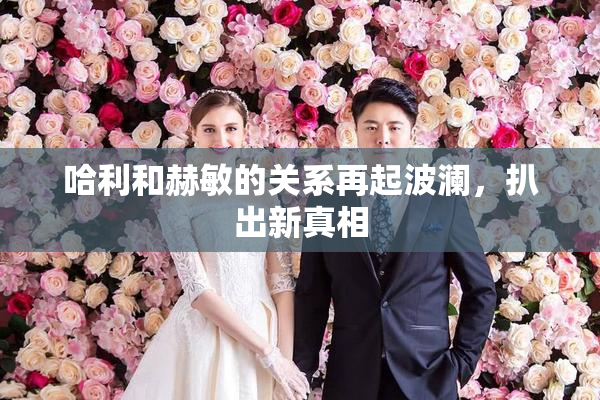 哈利和赫敏的关系再起波澜，扒出新真相
