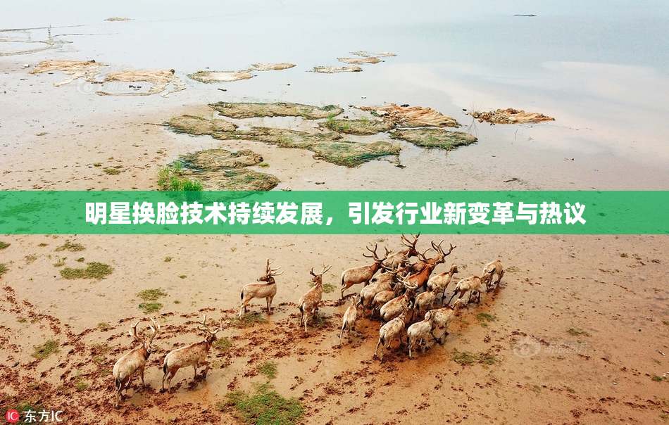 明星换脸技术持续发展，引发行业新变革与热议