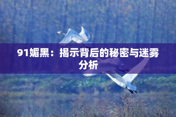 91媚黑：揭示背后的秘密与迷雾分析