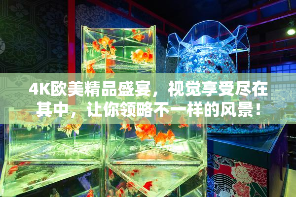 4K欧美精品盛宴，视觉享受尽在其中，让你领略不一样的风景！