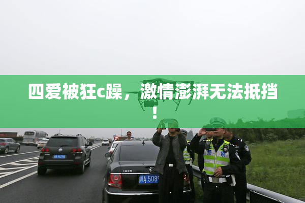 四爱被狂c躁，激情澎湃无法抵挡！