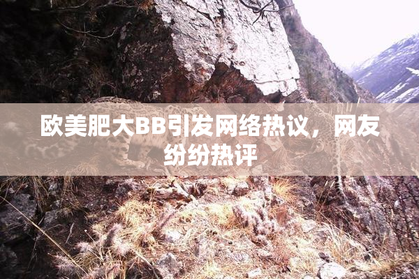 欧美肥大BB引发网络热议，网友纷纷热评