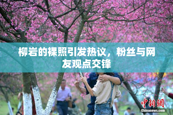 柳岩的裸照引发热议，粉丝与网友观点交锋