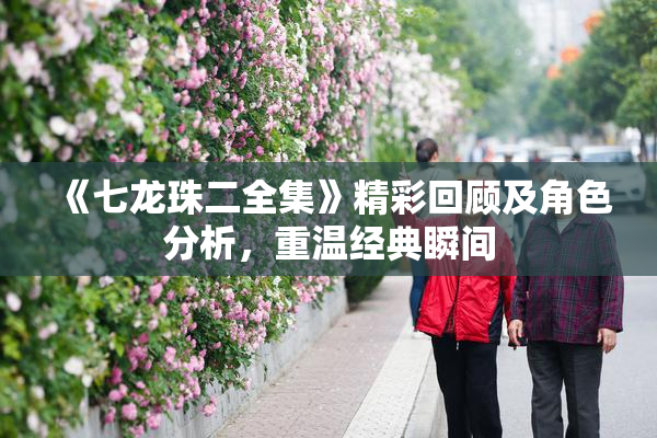 《七龙珠二全集》精彩回顾及角色分析，重温经典瞬间
