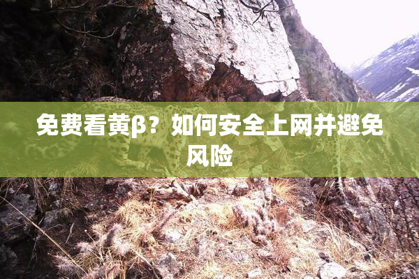 免费看黄β？如何安全上网并避免风险