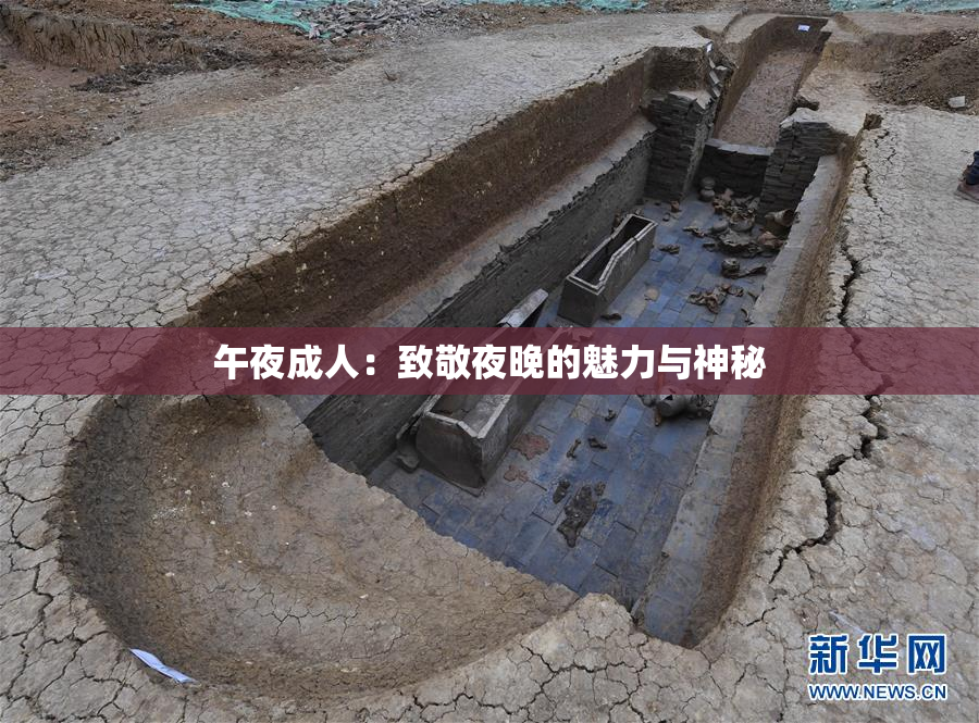 午夜成人：致敬夜晚的魅力与神秘