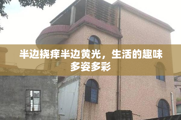 半边挠痒半边黄光，生活的趣味多姿多彩