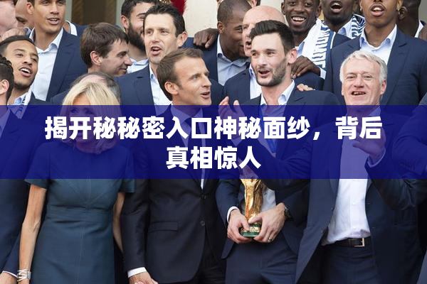 揭开秘秘密入口神秘面纱，背后真相惊人