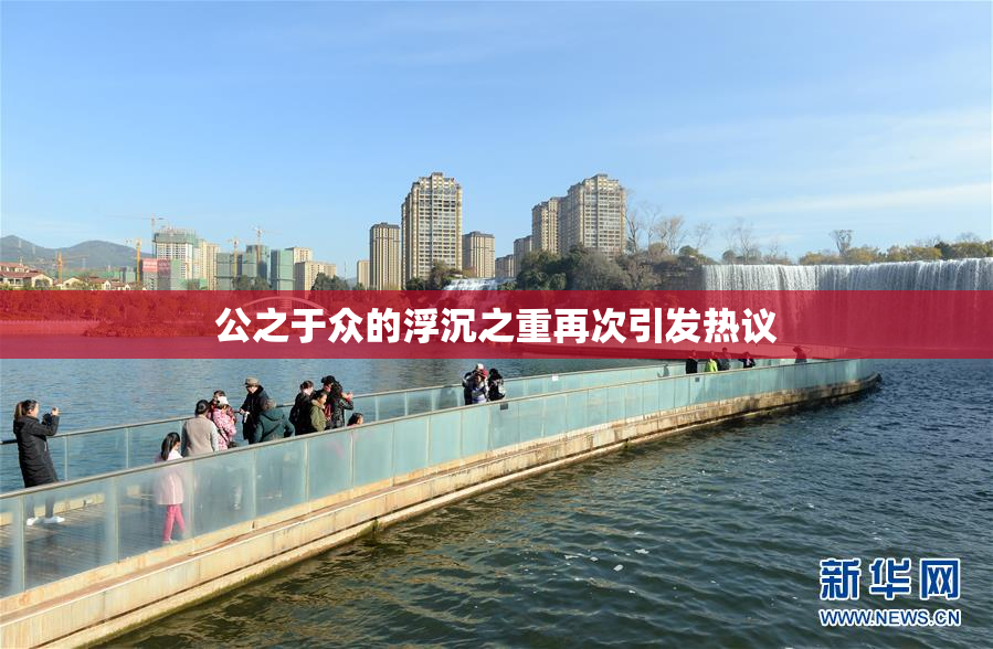 公之于众的浮沉之重再次引发热议