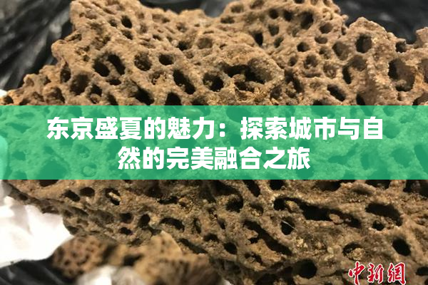 东京盛夏的魅力：探索城市与自然的完美融合之旅
