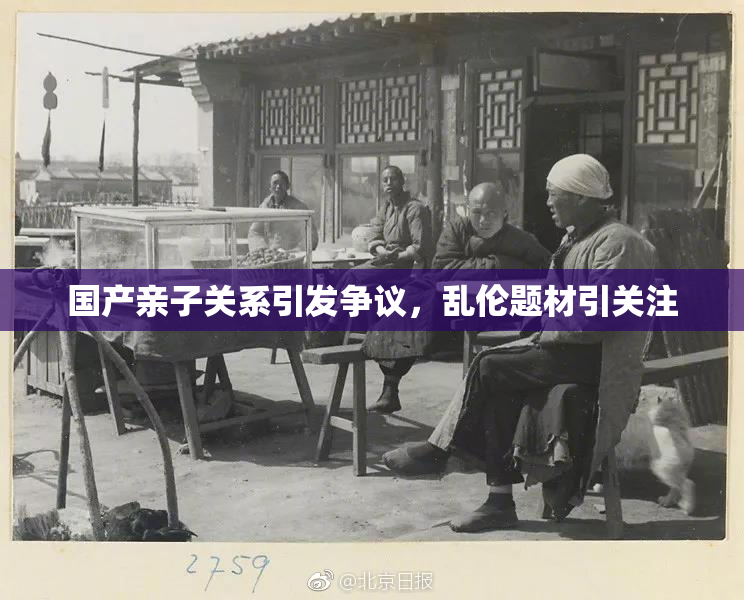 国产亲子关系引发争议，乱伦题材引关注
