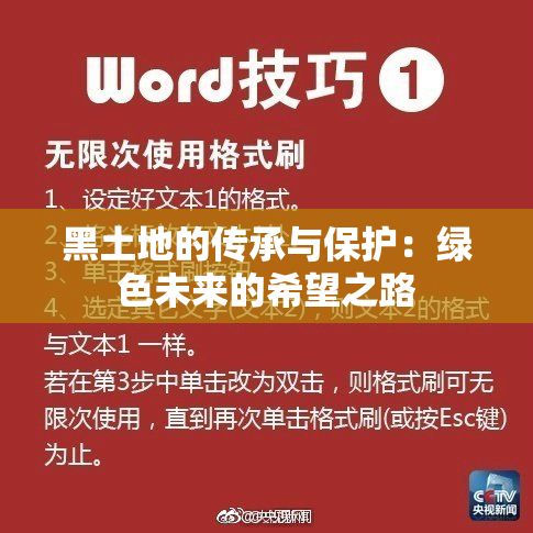 黑土地的传承与保护：绿色未来的希望之路