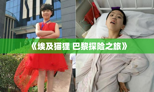 《埃及猫狸 巴黎探险之旅》
