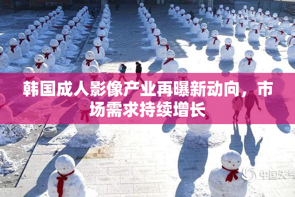 韩国成人影像产业再曝新动向，市场需求持续增长