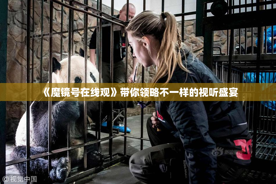 《魔镜号在线观》带你领略不一样的视听盛宴