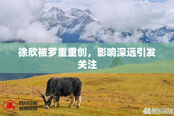 徐欣被罗重重创，影响深远引发关注