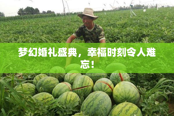梦幻婚礼盛典，幸福时刻令人难忘！