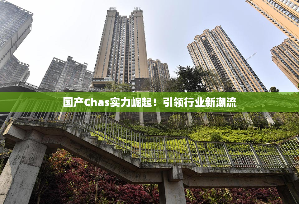国产Chas实力崛起！引领行业新潮流