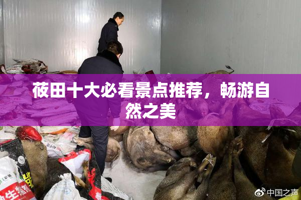莜田十大必看景点推荐，畅游自然之美