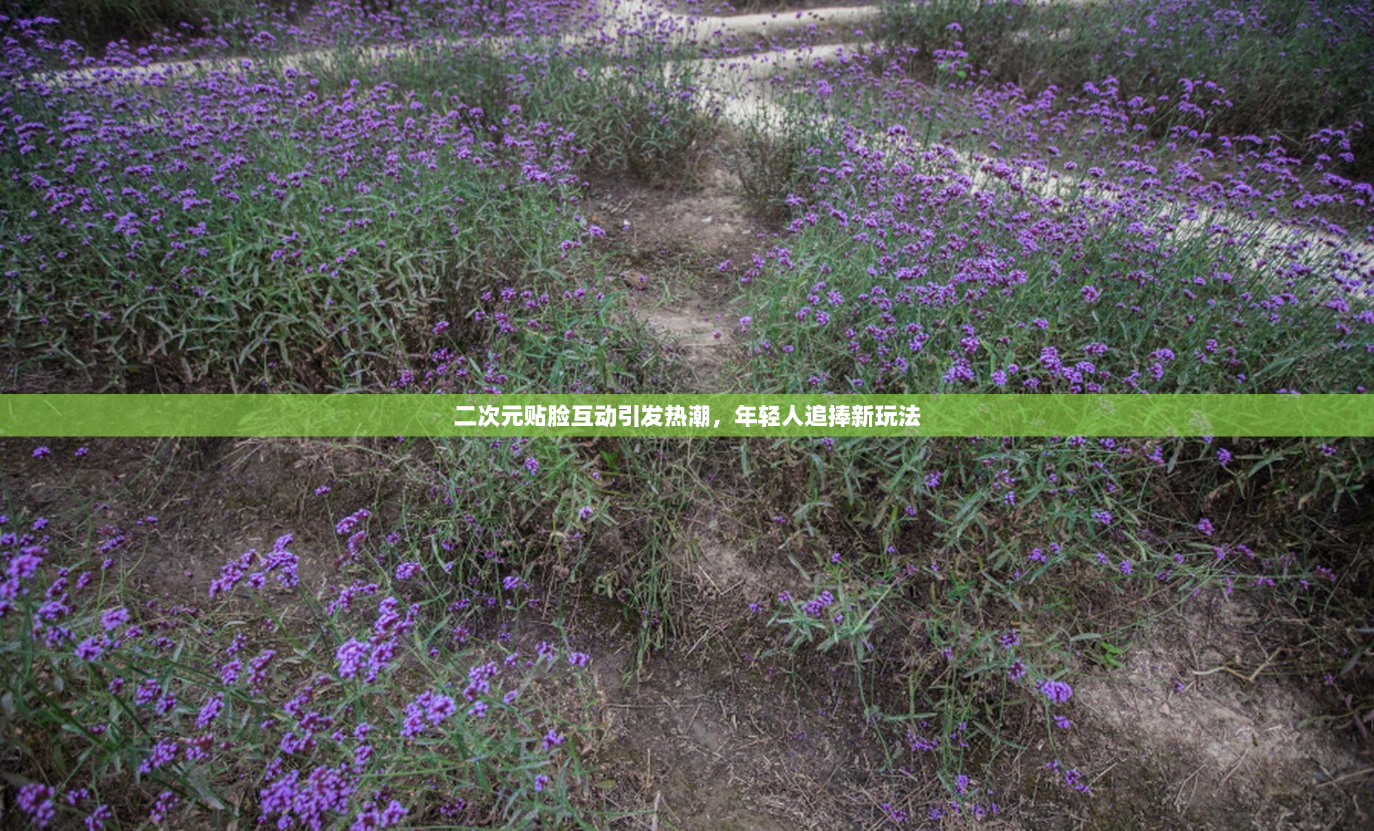 二次元贴脸互动引发热潮，年轻人追捧新玩法