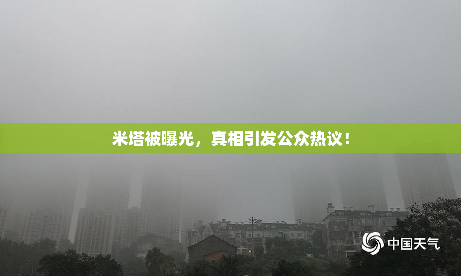 米塔被曝光，真相引发公众热议！