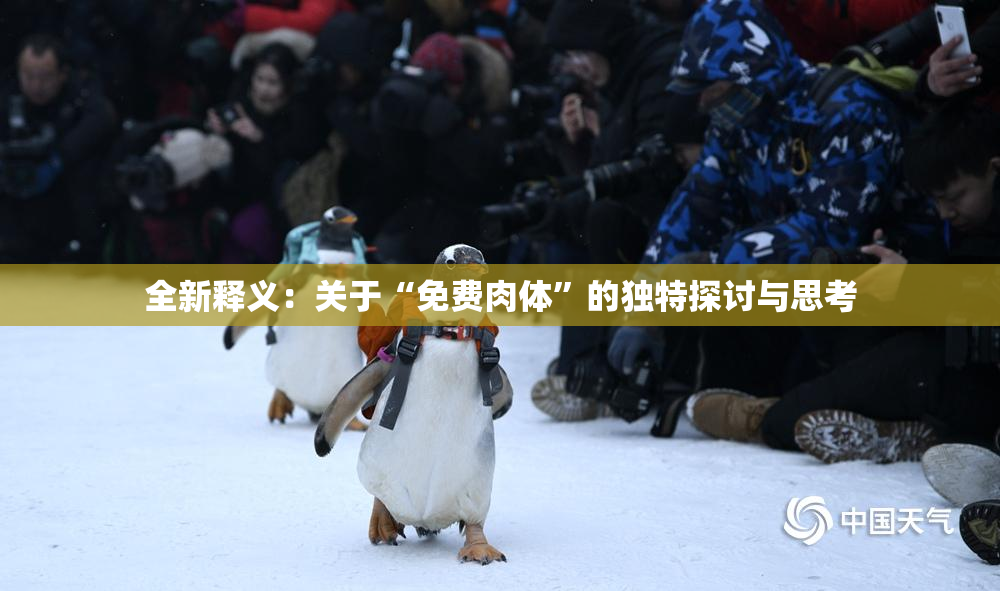 全新释义：关于“免费肉体”的独特探讨与思考