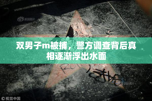 双男子m被捕，警方调查背后真相逐渐浮出水面