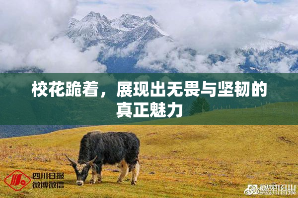 校花跪着，展现出无畏与坚韧的真正魅力