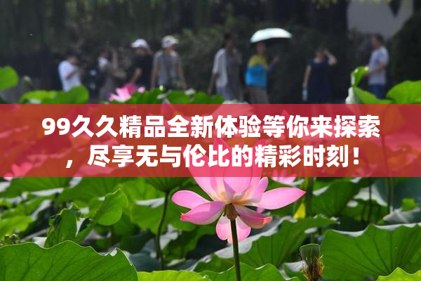 99久久精品全新体验等你来探索，尽享无与伦比的精彩时刻！