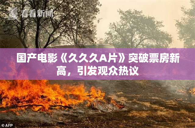 国产电影《久久久A片》突破票房新高，引发观众热议