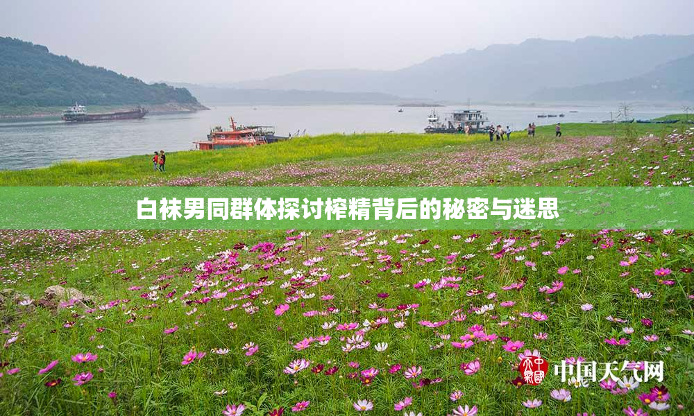 白袜男同群体探讨榨精背后的秘密与迷思