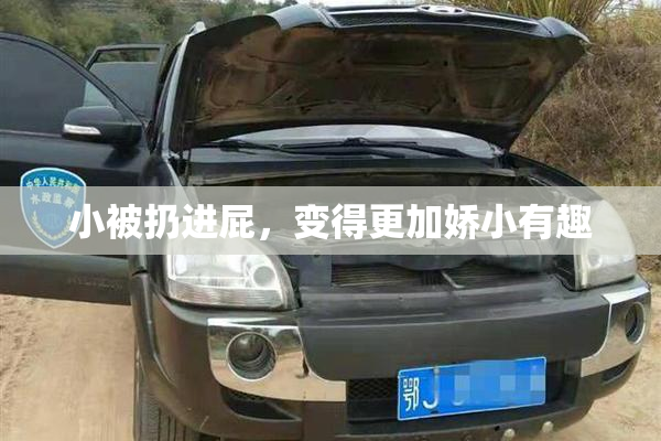 小被扔进屁，变得更加娇小有趣