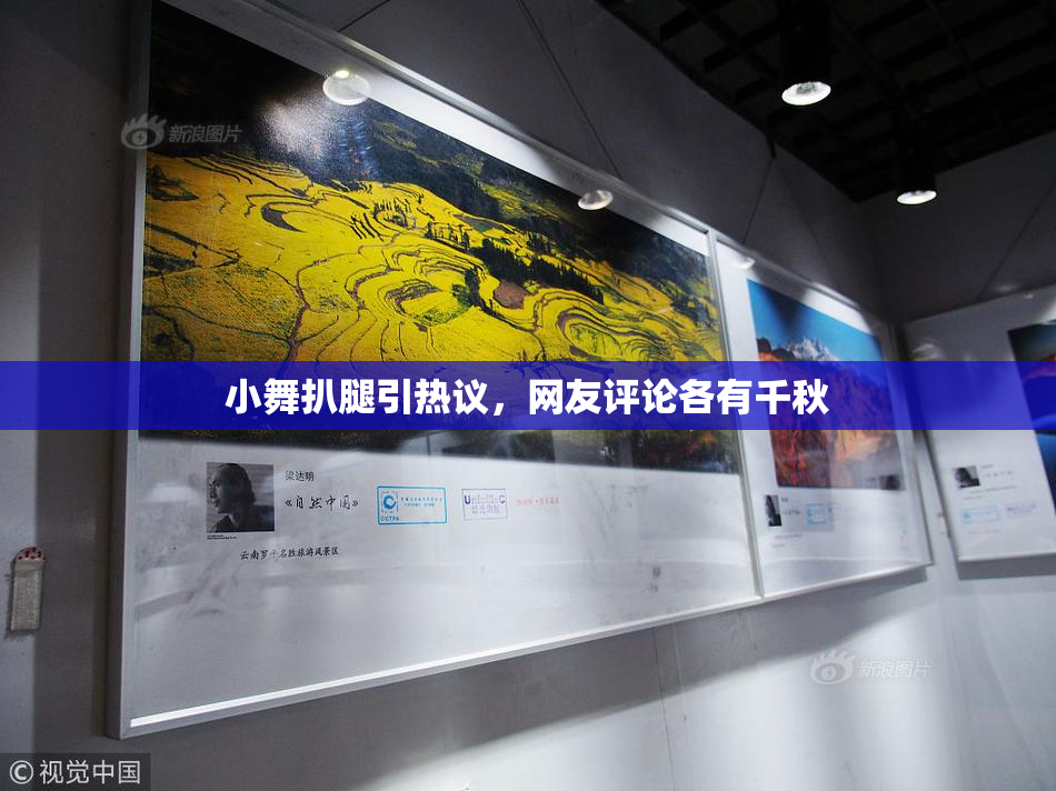 小舞扒腿引热议，网友评论各有千秋