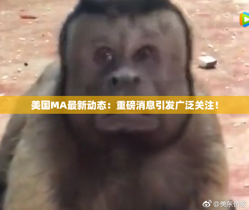 美国MA最新动态：重磅消息引发广泛关注！