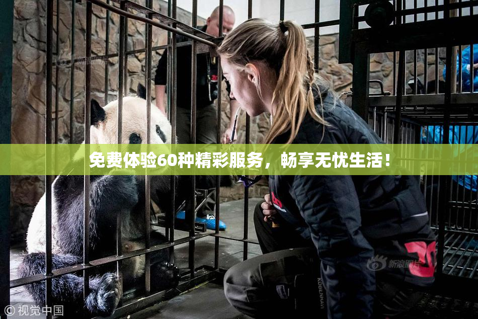 免费体验60种精彩服务，畅享无忧生活！