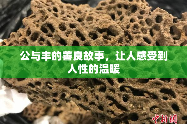 公与丰的善良故事，让人感受到人性的温暖