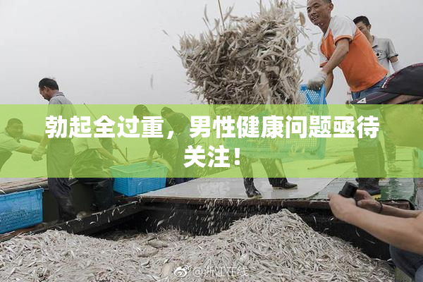 勃起全过重，男性健康问题亟待关注！