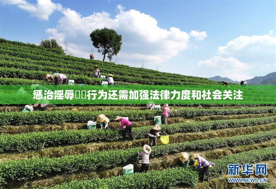 惩治淫辱妺妺行为还需加强法律力度和社会关注