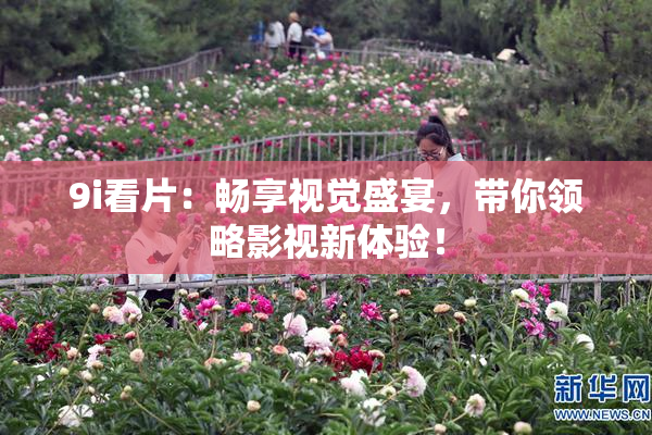 9i看片：畅享视觉盛宴，带你领略影视新体验！