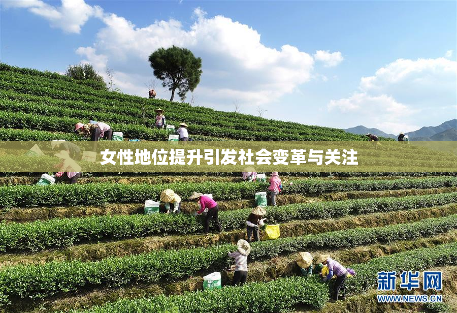 女性地位提升引发社会变革与关注