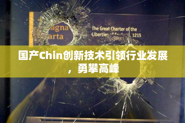 国产Chin创新技术引领行业发展，勇攀高峰