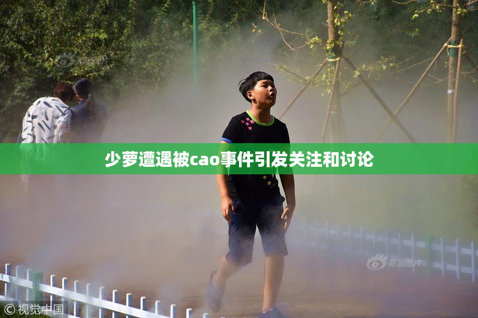 少萝遭遇被cao事件引发关注和讨论